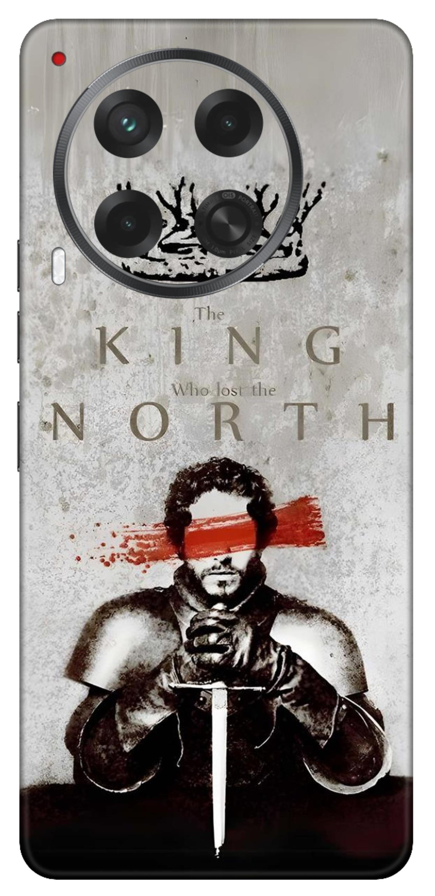 Tecno Camon 30 5G Skins and Wraps