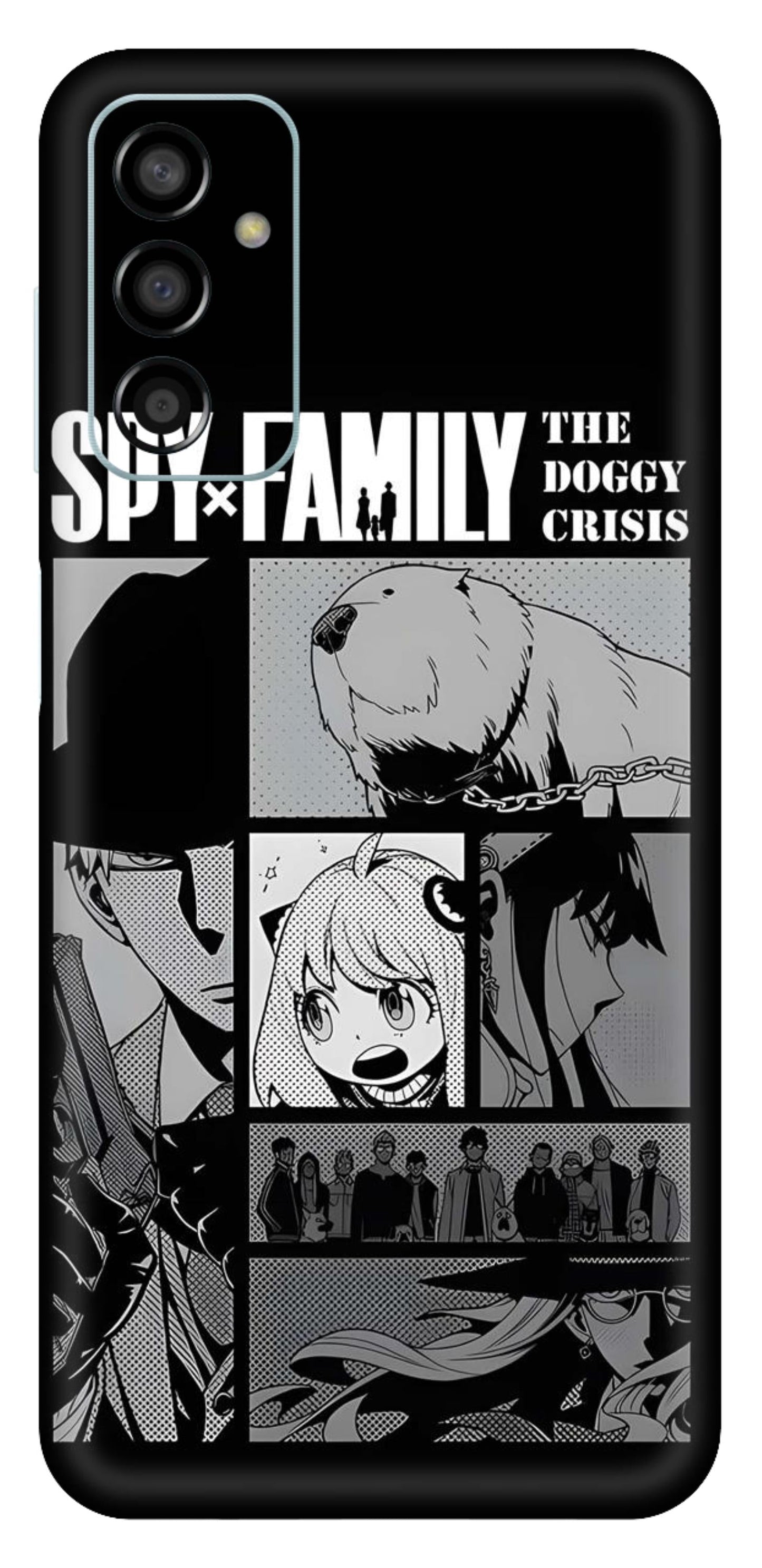 Samsung Galaxy F13 Skins and Wraps