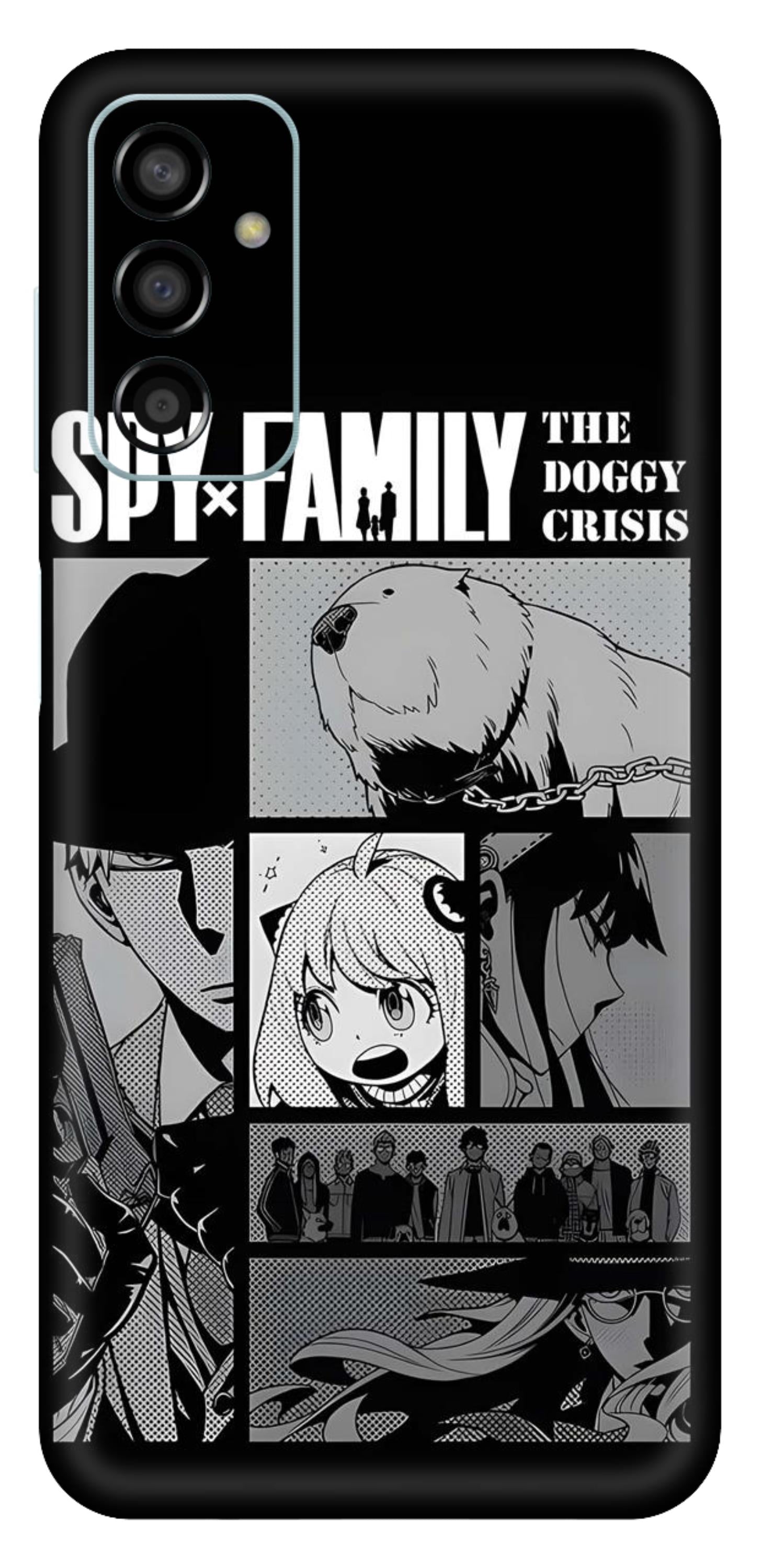 Samsung Galaxy F13 Skins and Wraps