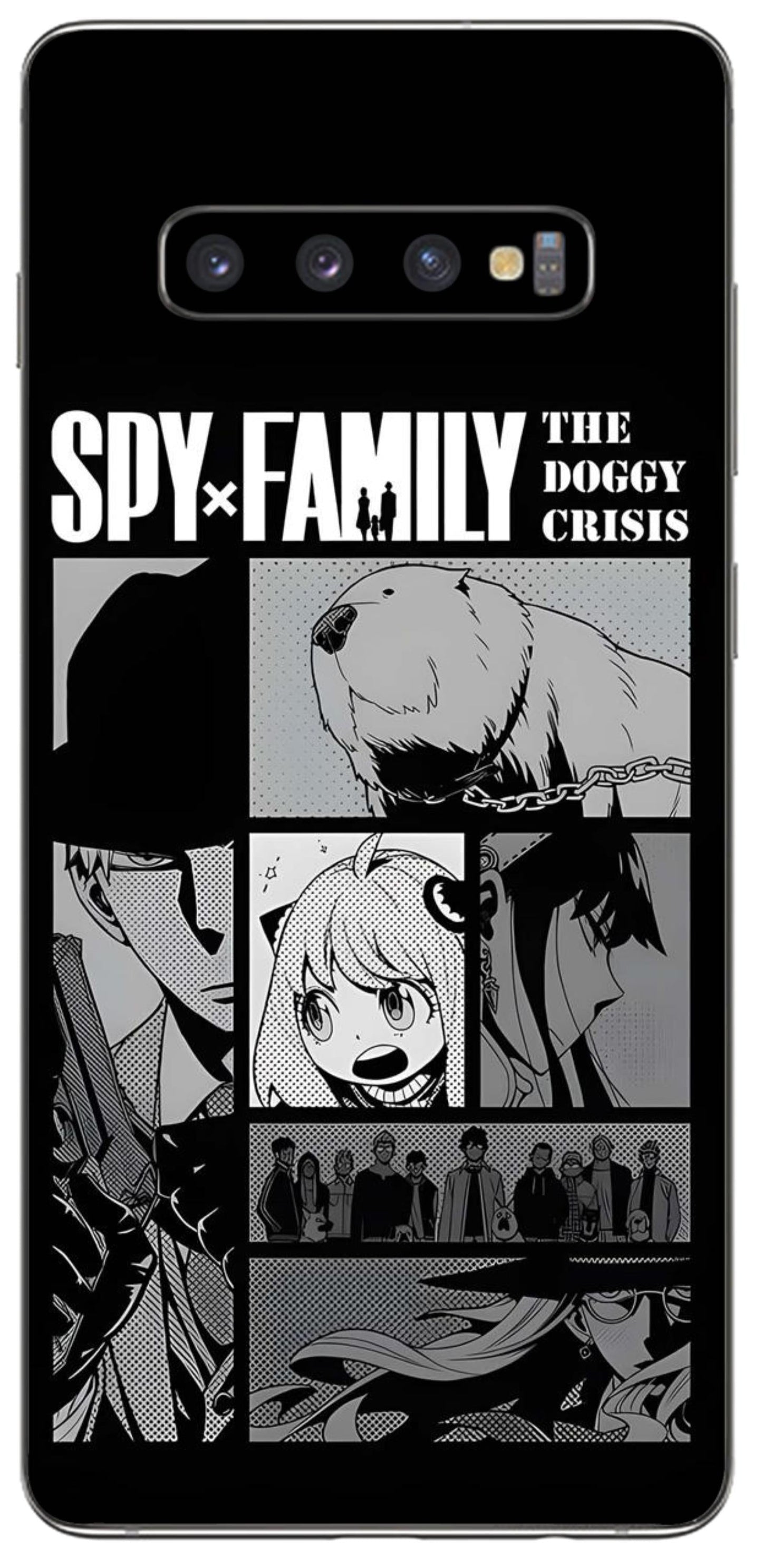 Samsung Galaxy S10 Plus Skins and Wraps