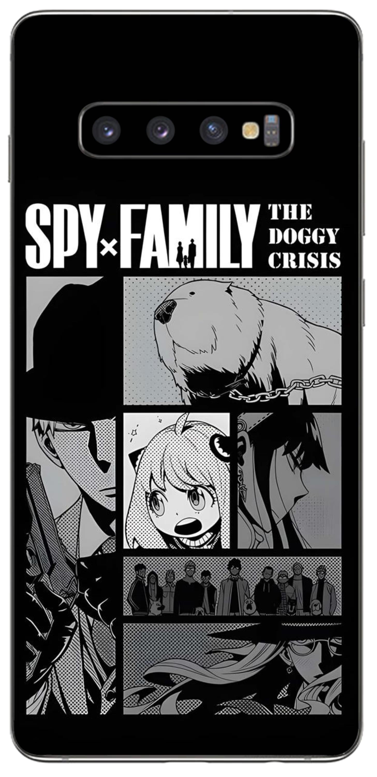 Samsung Galaxy S10 Plus Skins and Wraps