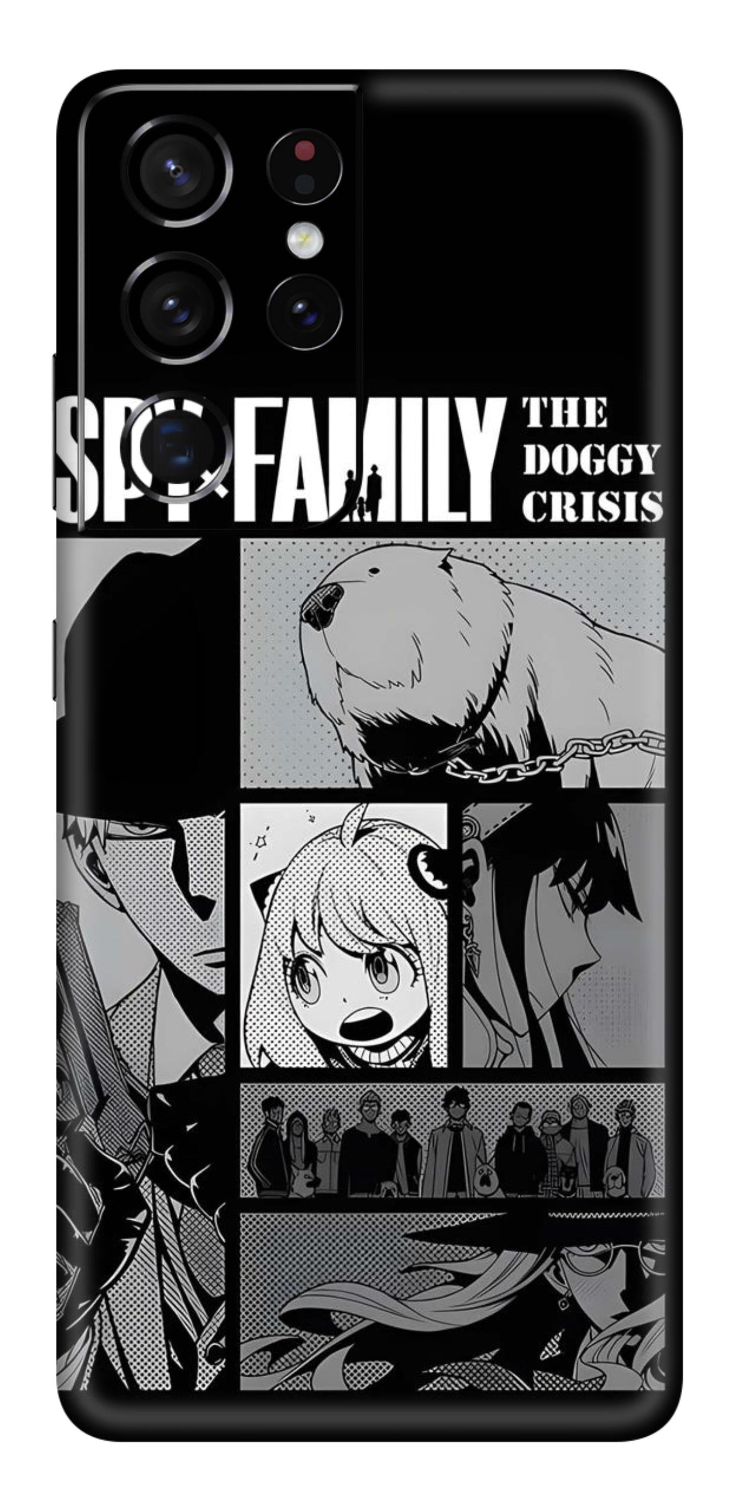 Samsung Galaxy S21 Ultra Skins and Wraps