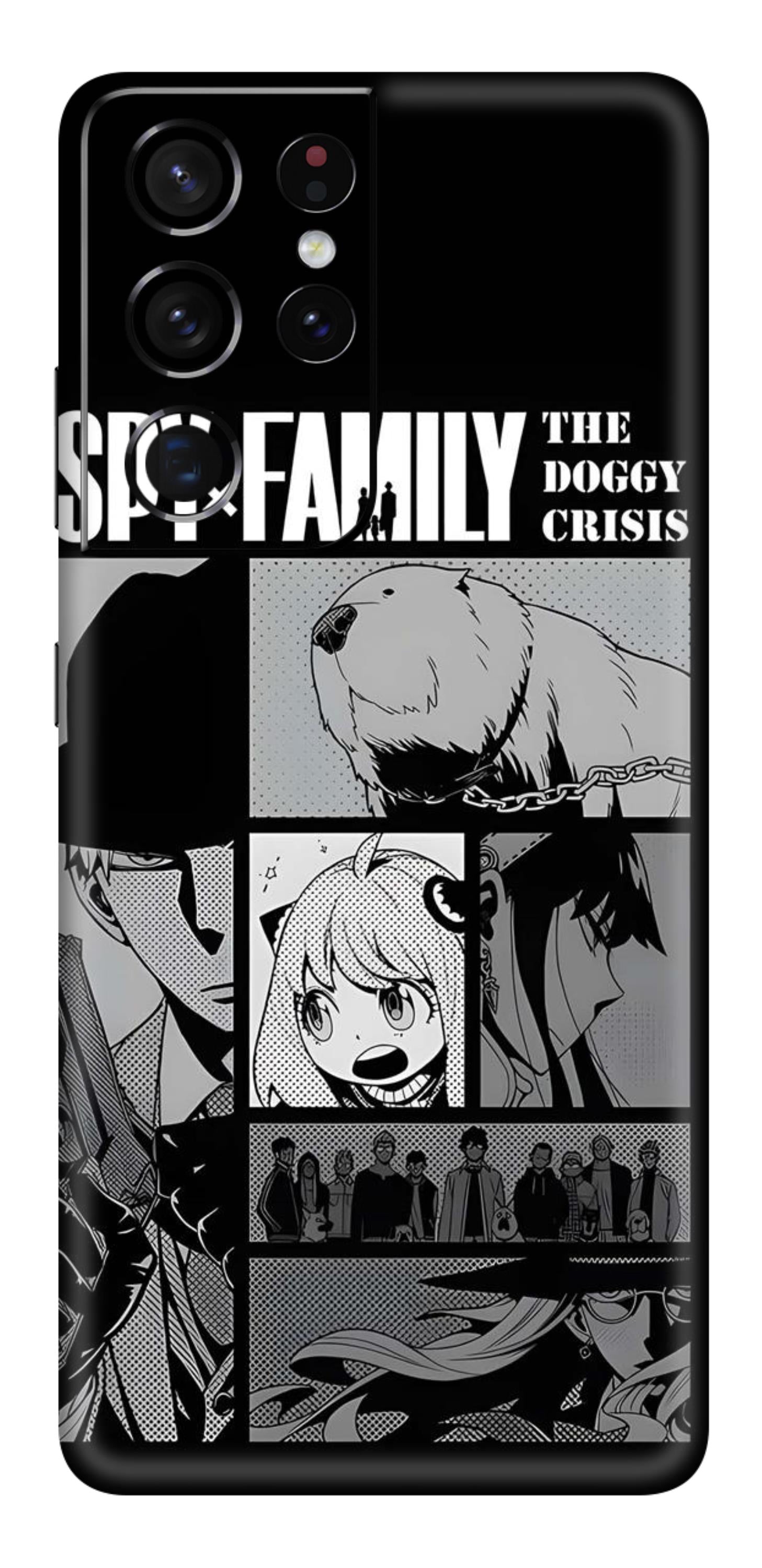 Samsung Galaxy S21 Ultra Skins and Wraps