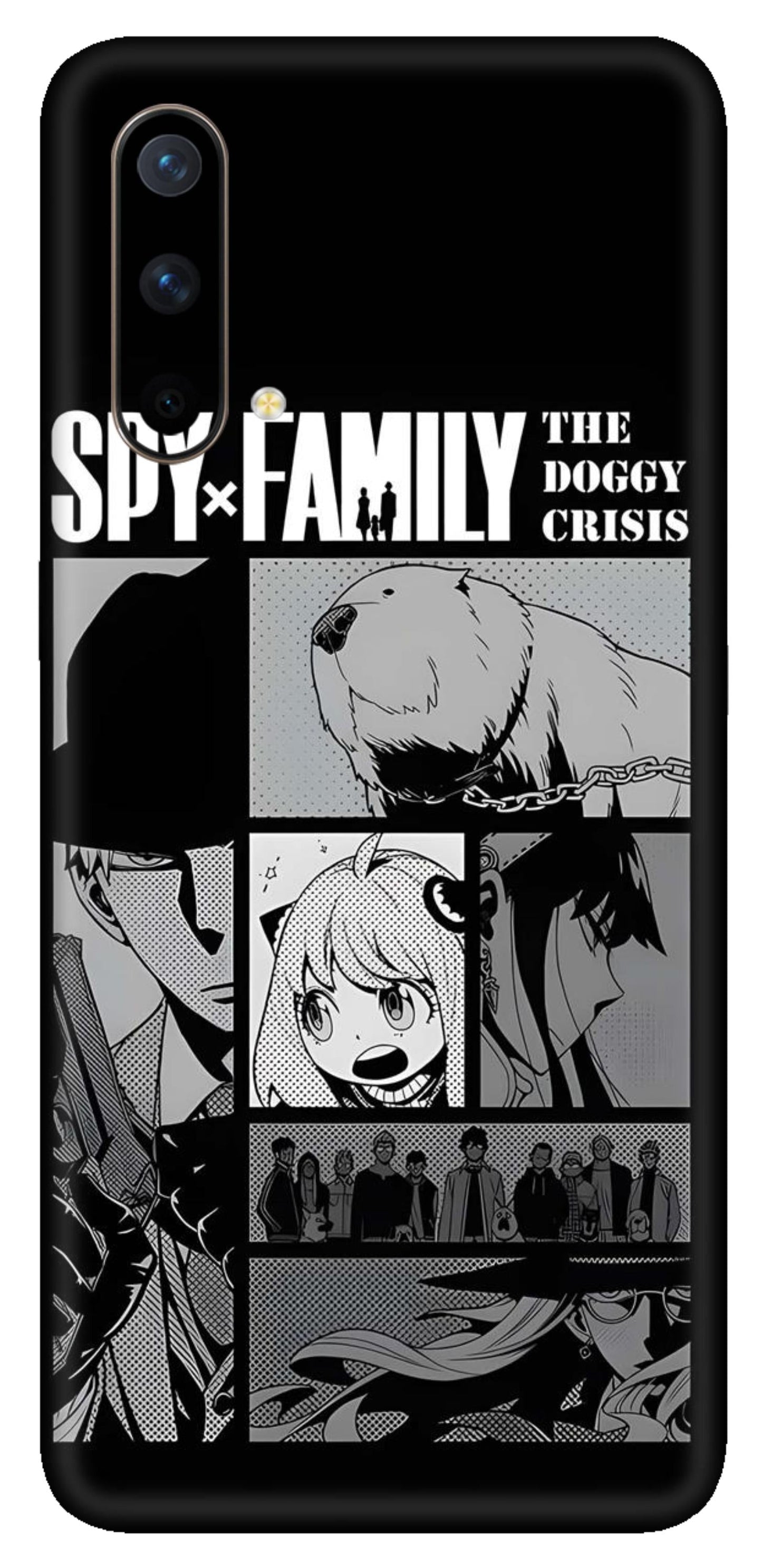 OnePlus Nord CE Skins and Wraps