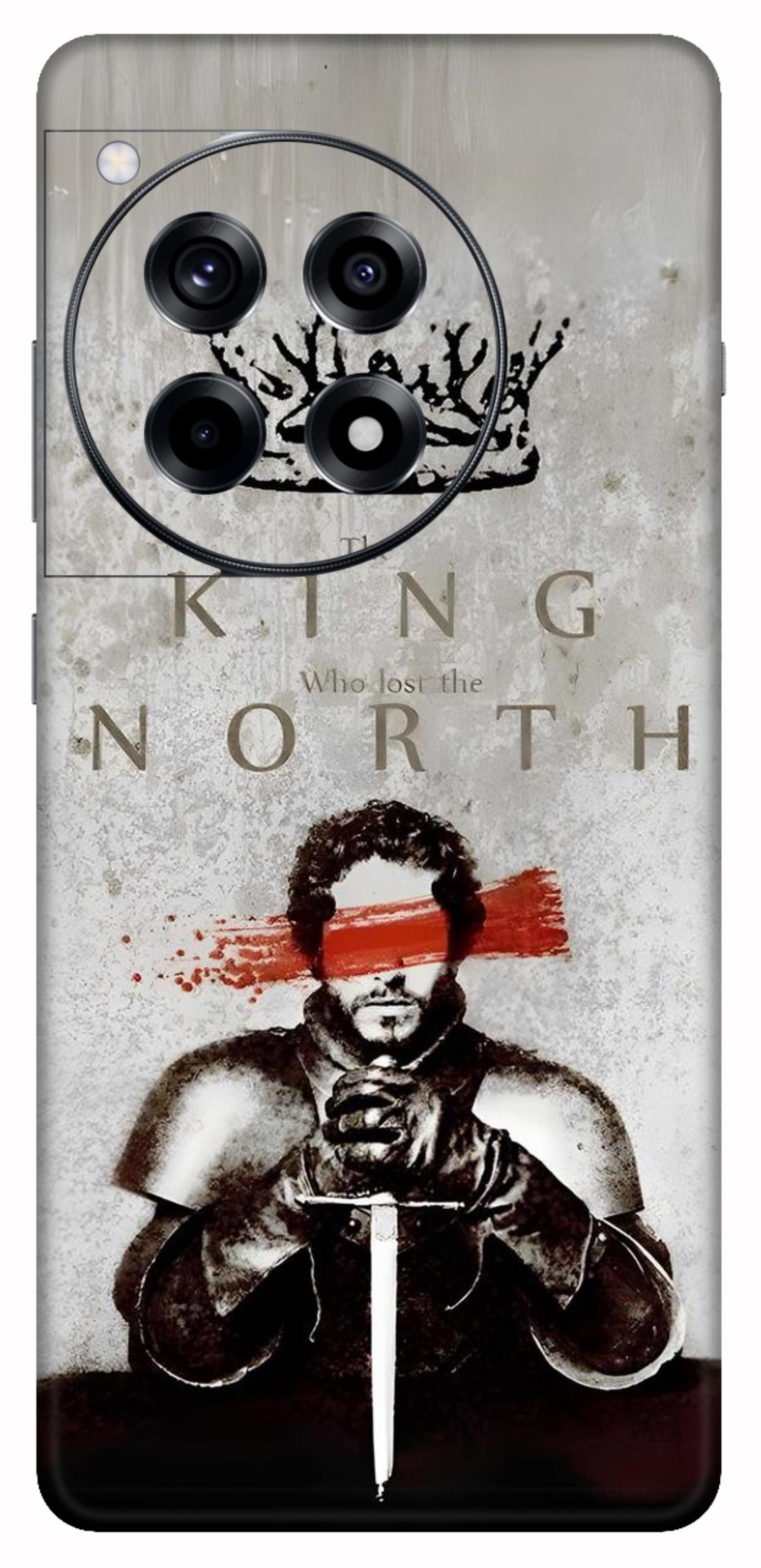 OnePlus 12R Skins and Wraps