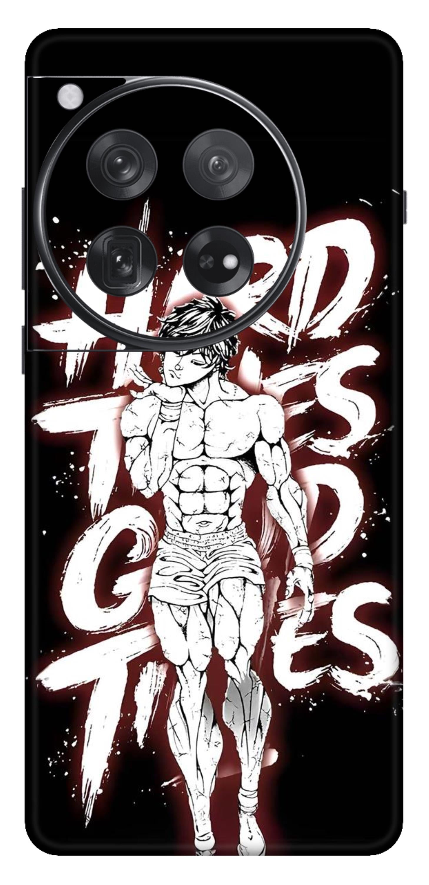 OnePlus 12 Skins and Wraps