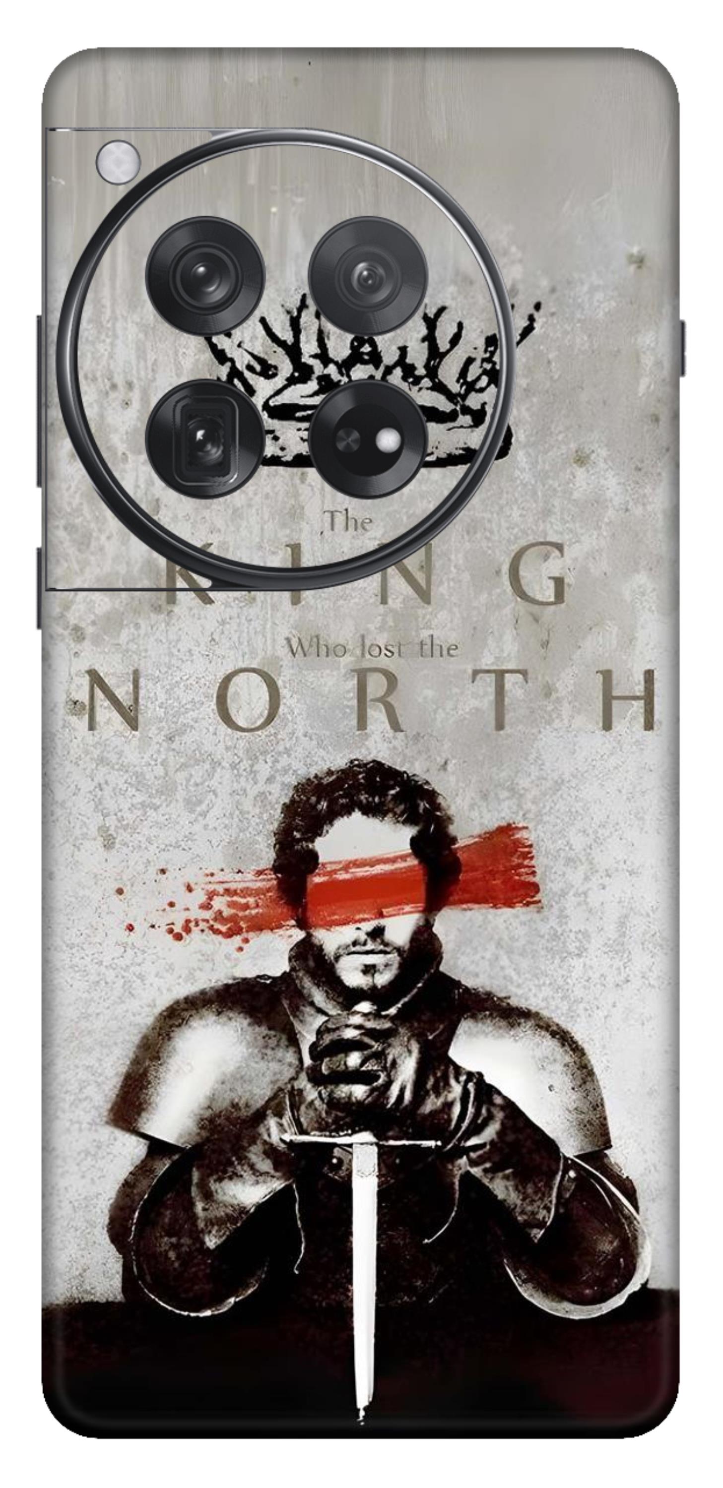 OnePlus 12 Skins and Wraps