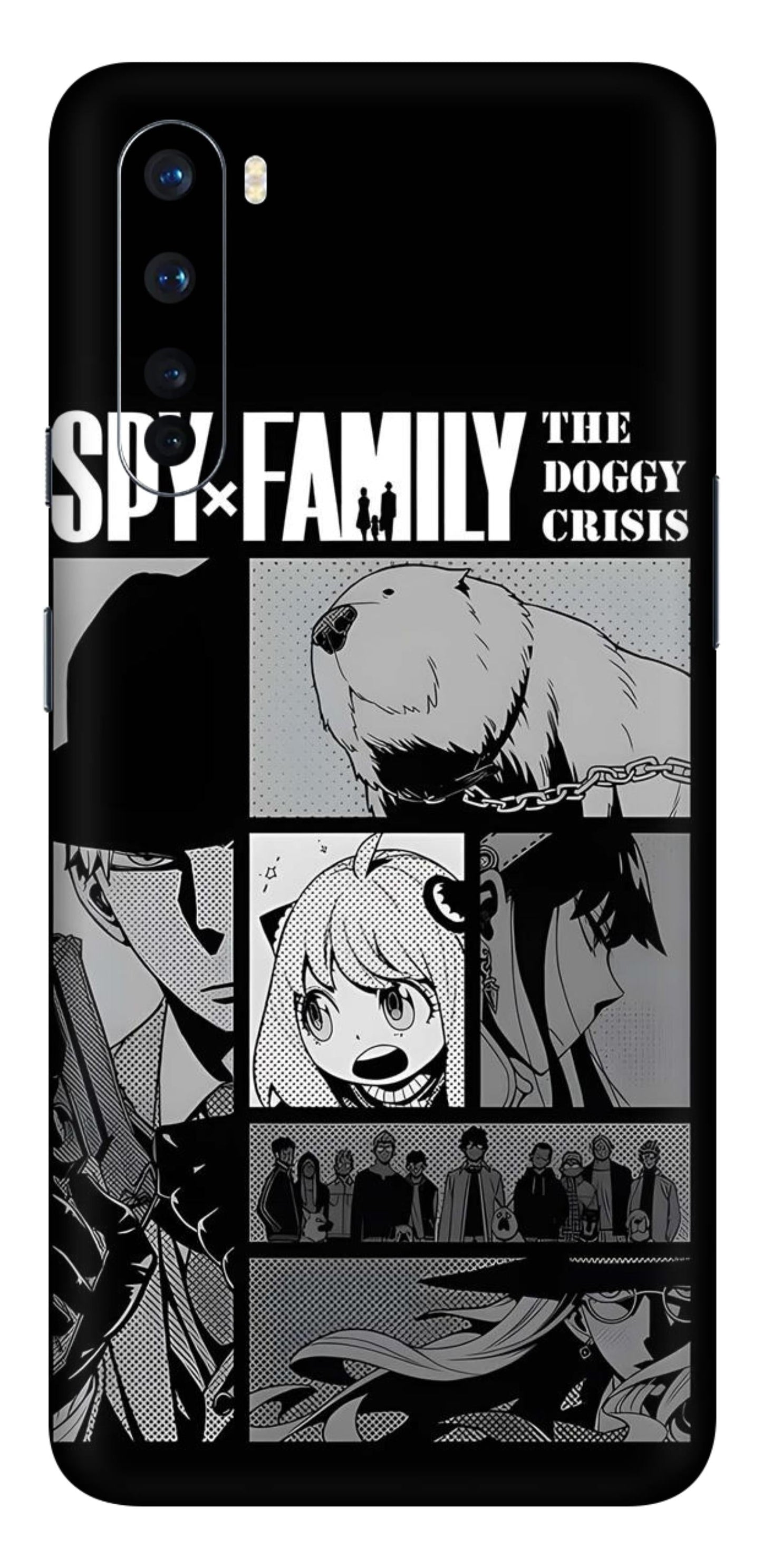 OnePlus Nord Skins and Wraps