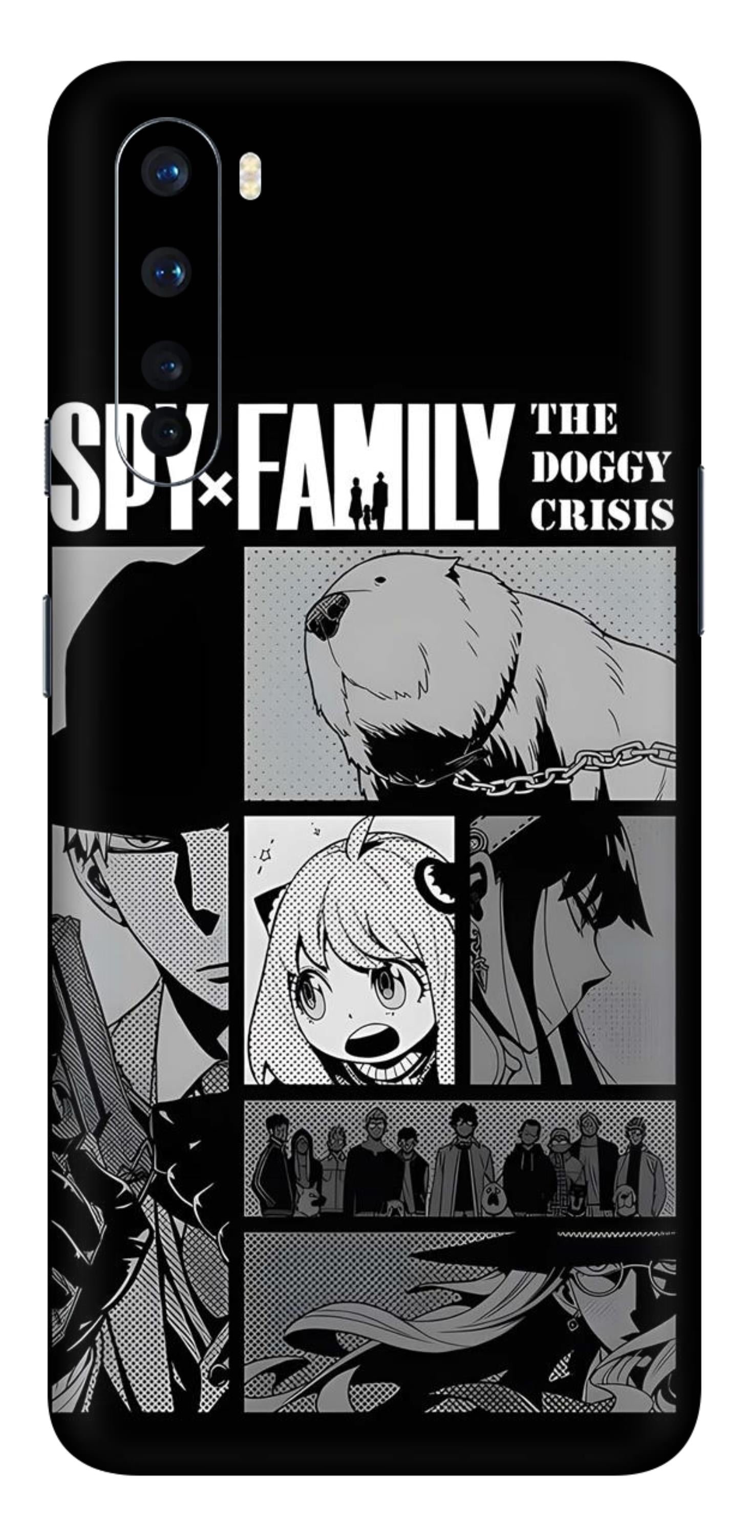 OnePlus Nord Skins and Wraps