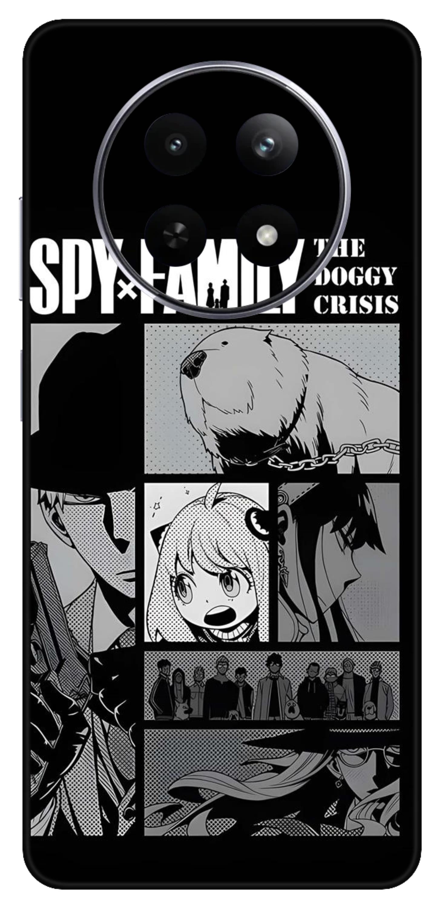 Realme 12 5G Skins and Wraps