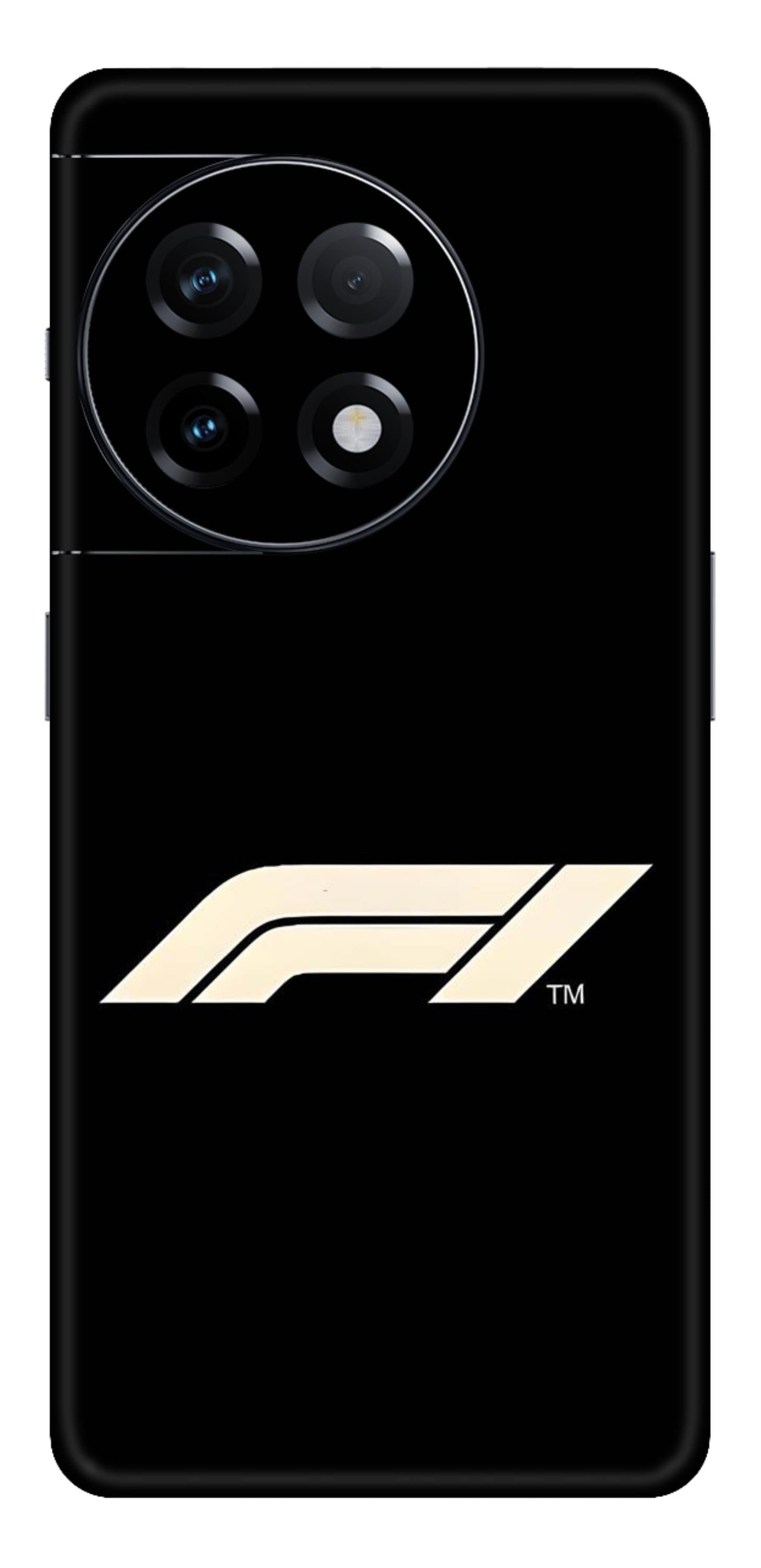 Formula 1 Mobile Skin (F 1) - All Mobile Available