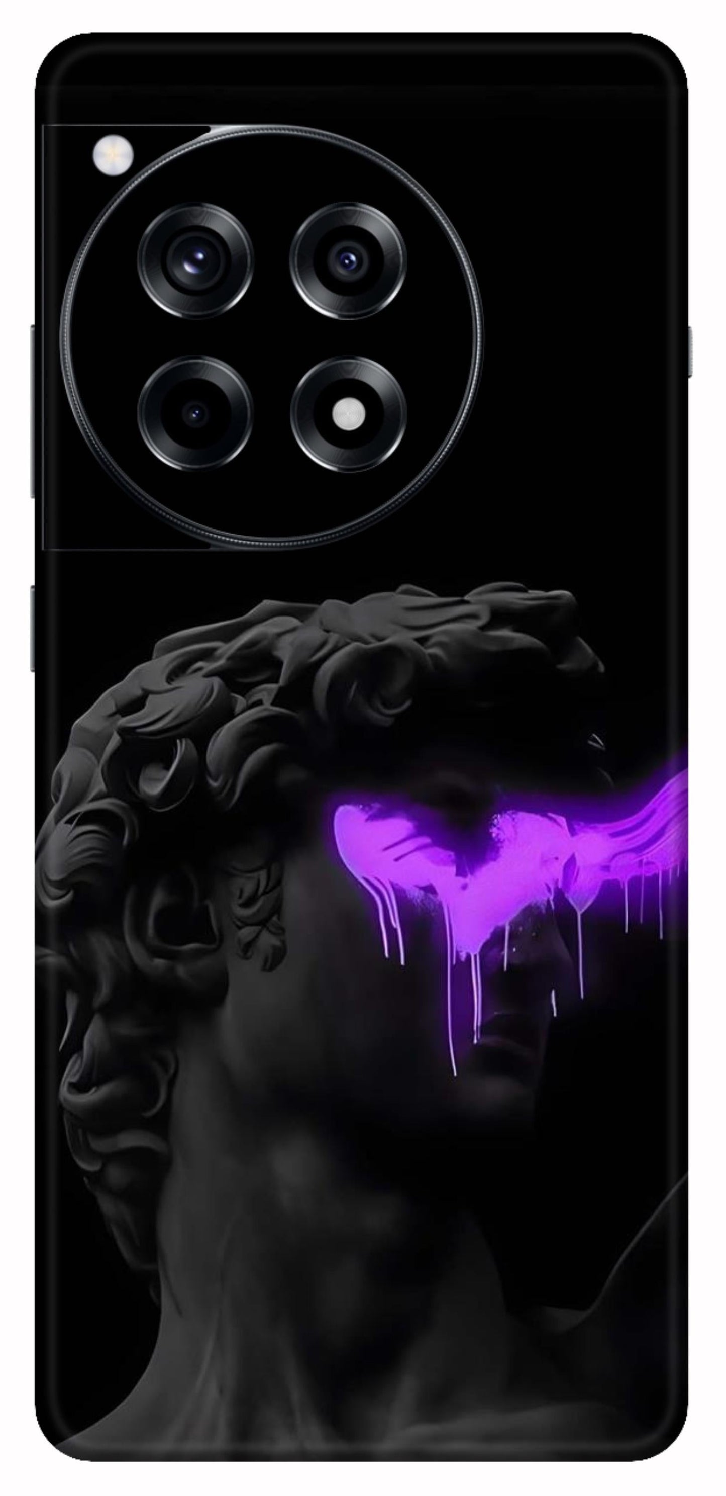 OnePlus 12R Skins and Wraps