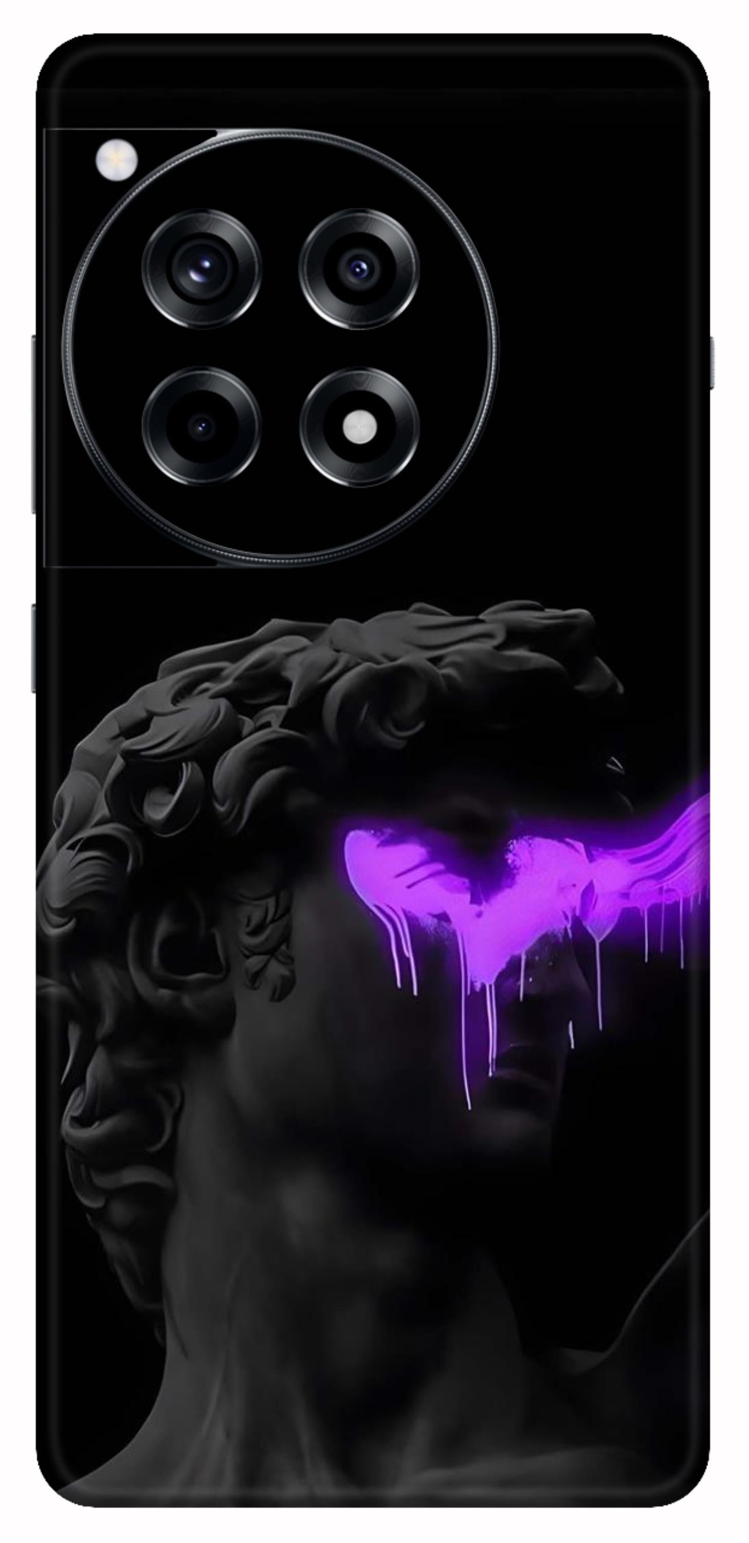 OnePlus 12R Skins and Wraps