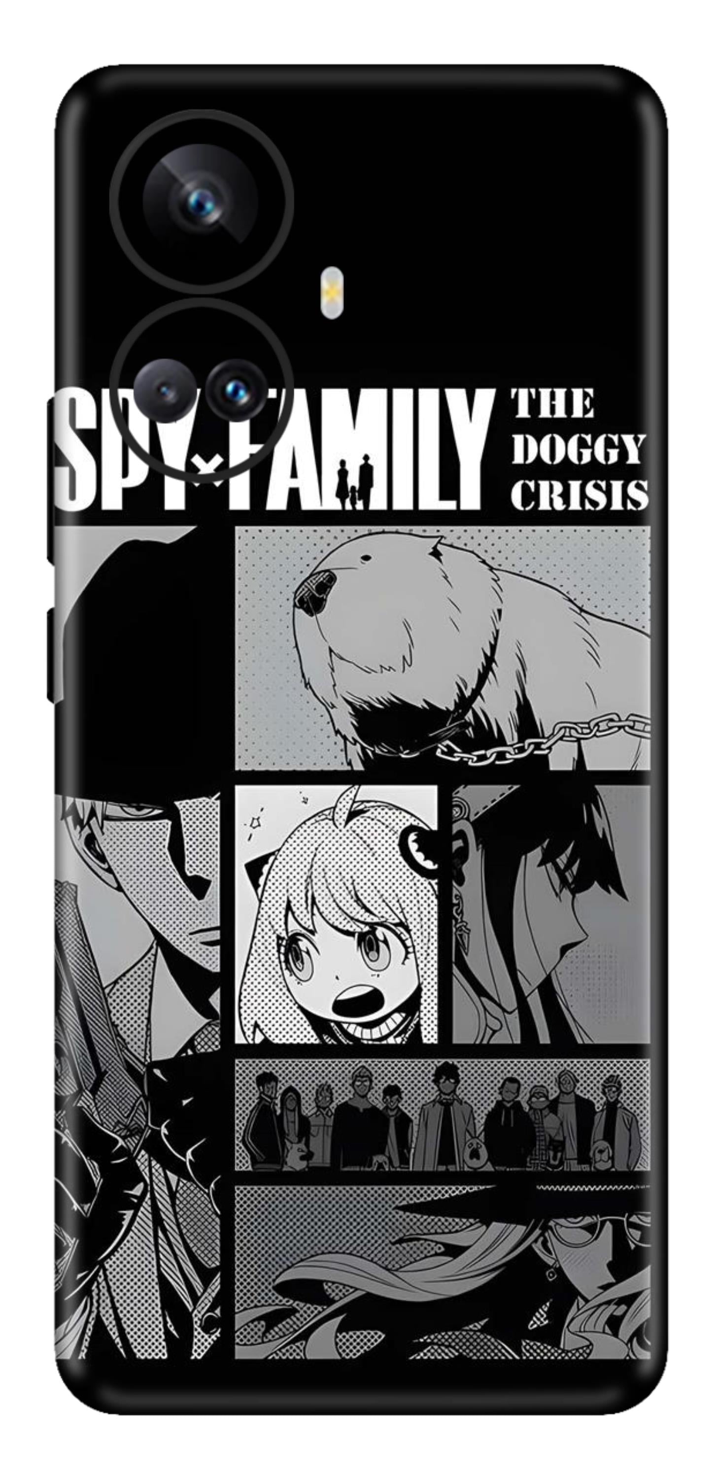 Realme 10 Pro Plus Skins and Wraps