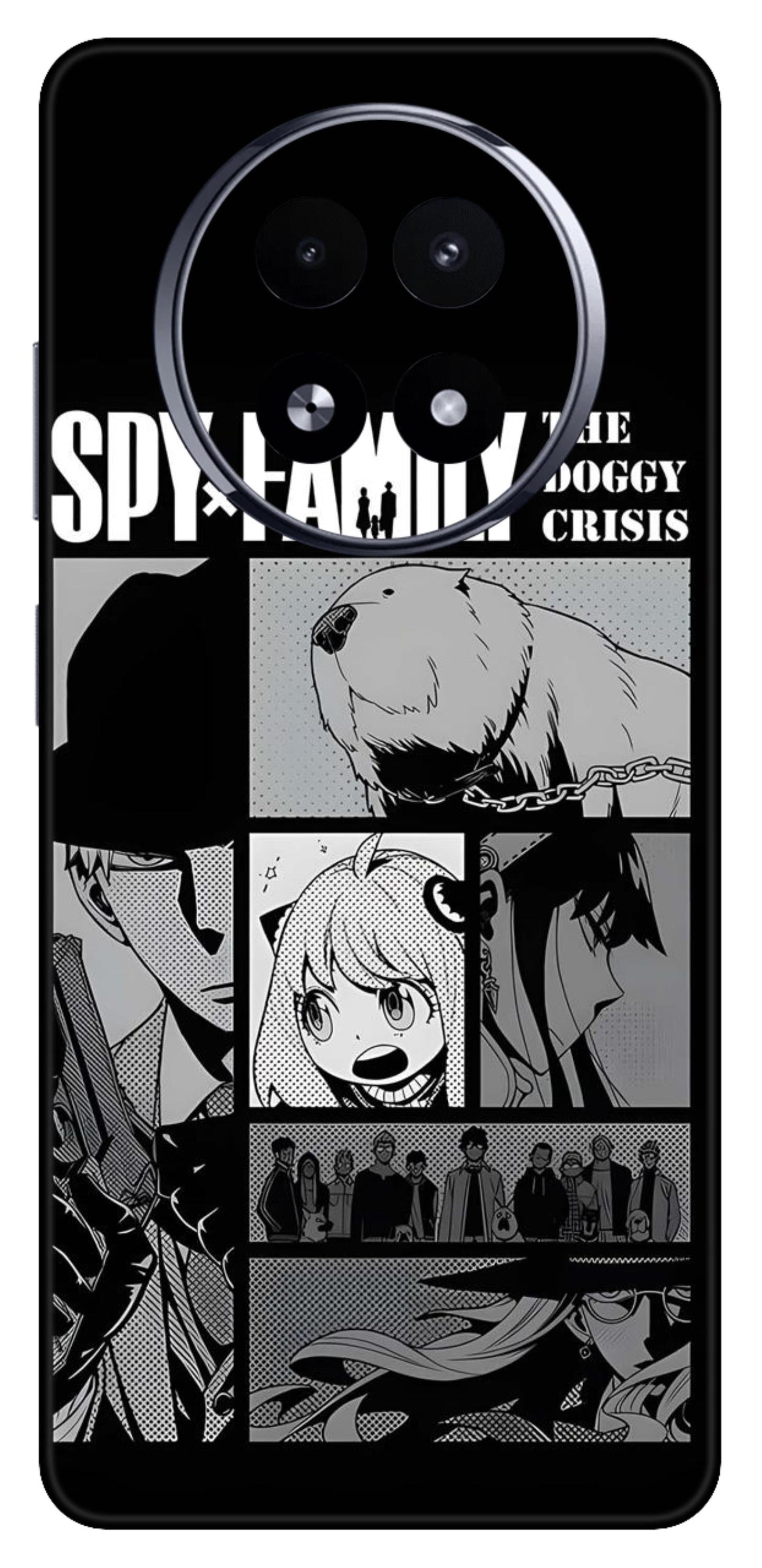 Realme 13 5G Skins and Wraps