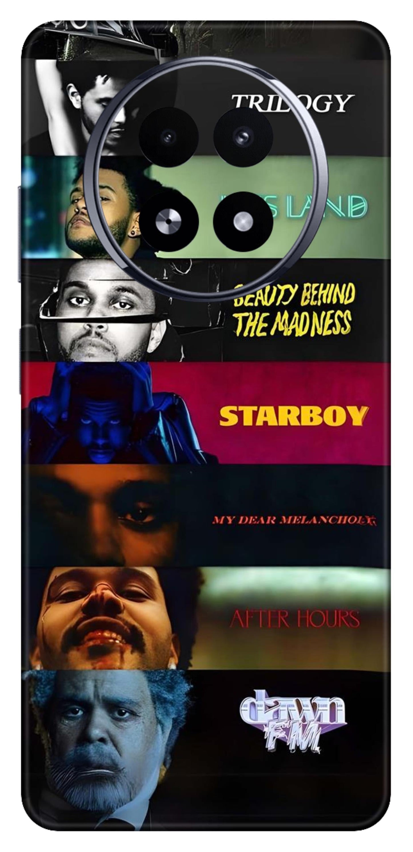 Realme 13 5G Skins and Wraps