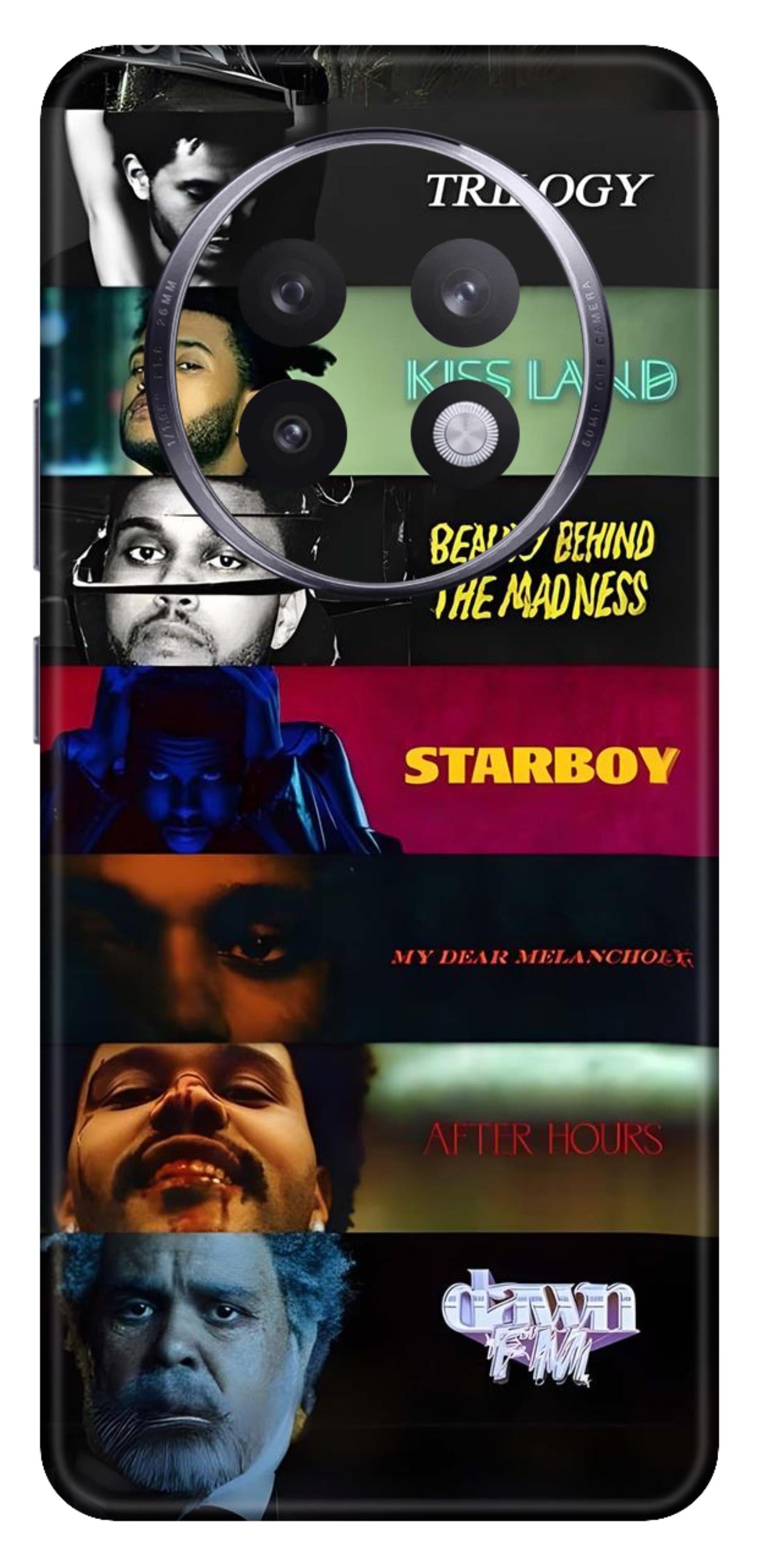 Realme 13 Plus 5G Skins and Wraps