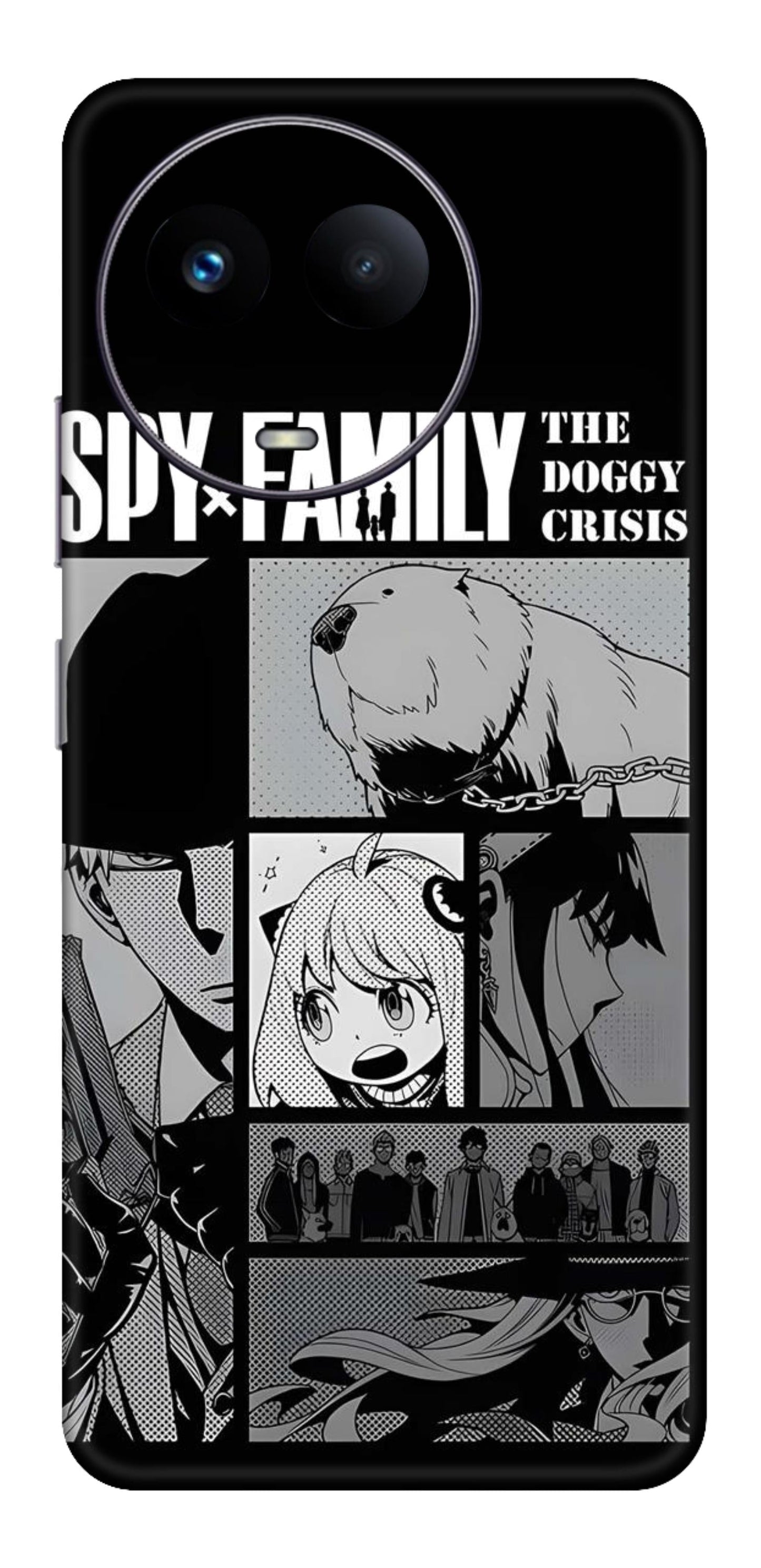 Realme C67 Skins and Wraps