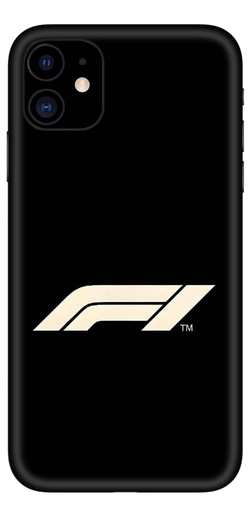 iPhone 11 Skins and Wraps